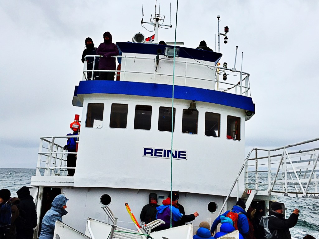 Kapitel 5: Kotzen zum Sparpreis von 90€ | Abenteuer&nbsp;Lofoten