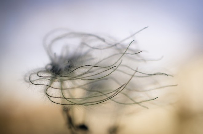 Vollkommen frei sein - ein Bild von Markus (https://kuhnographphotography.wordpress.com)