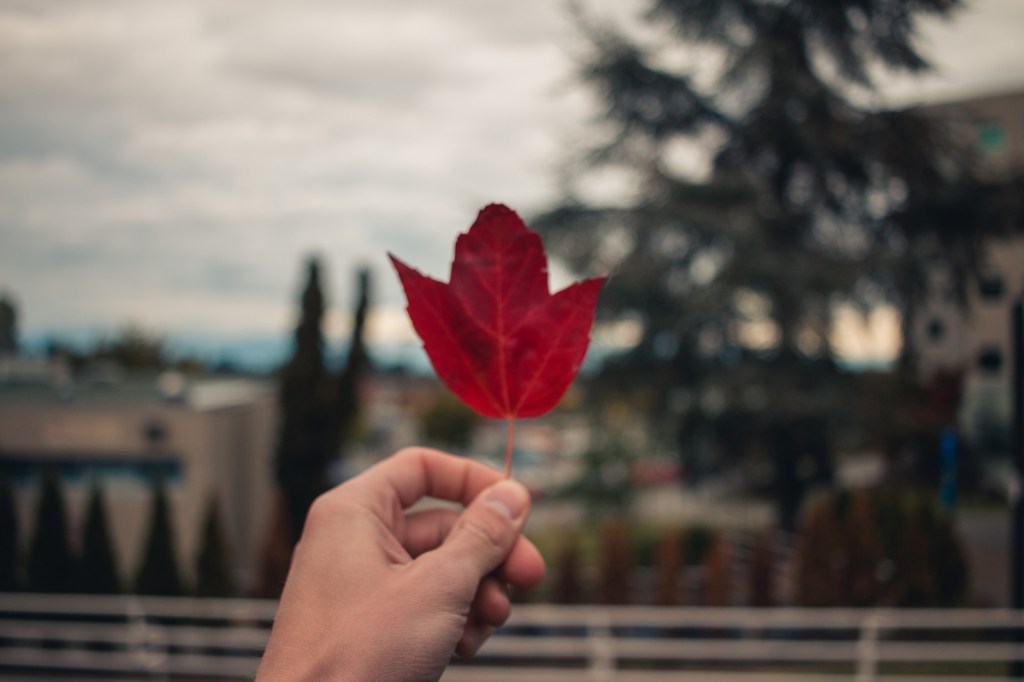 Das Vancouver-Gefühl