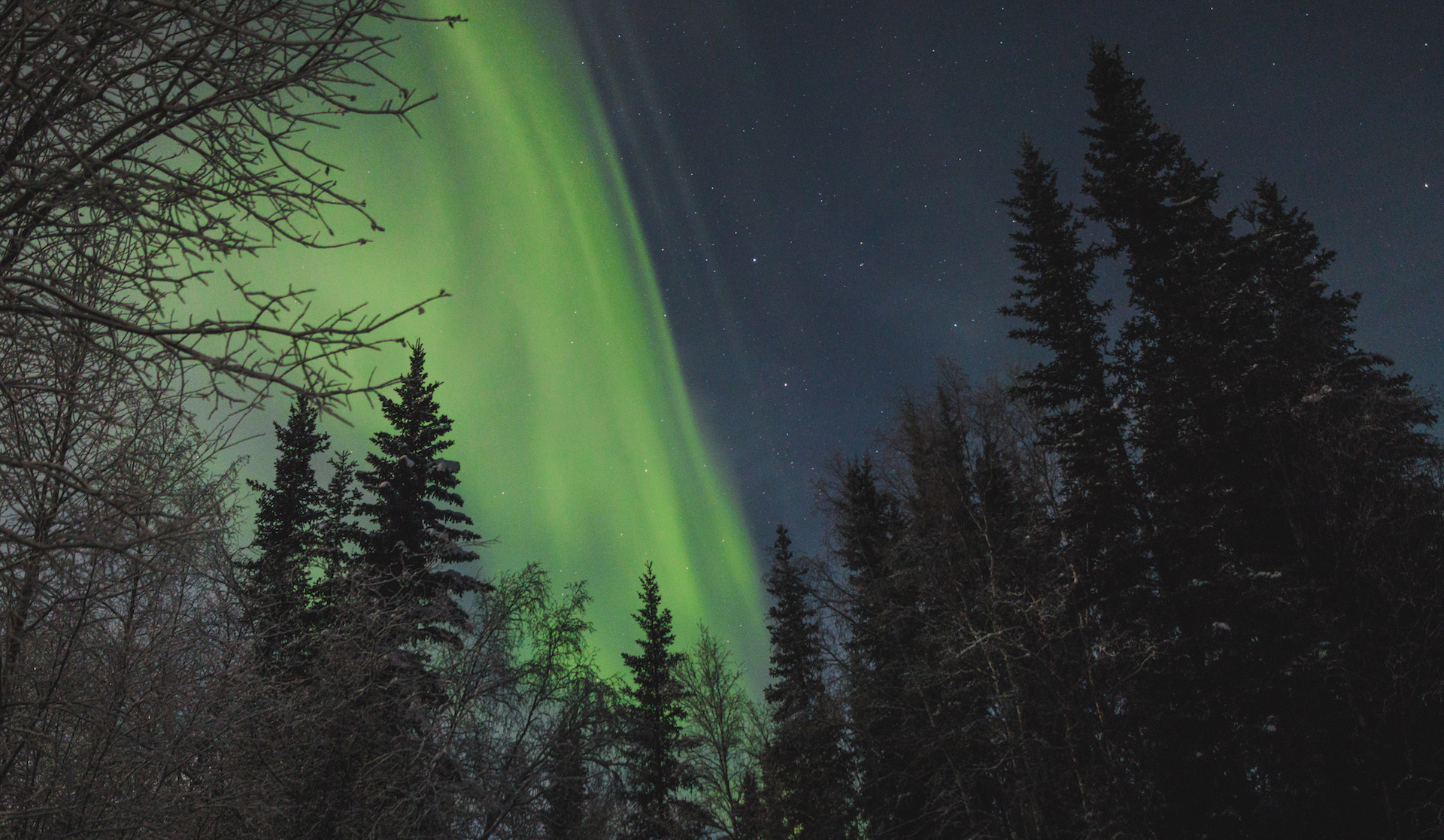 Nordlichter_alaska_reiseblog_jim_kopf.jpg
