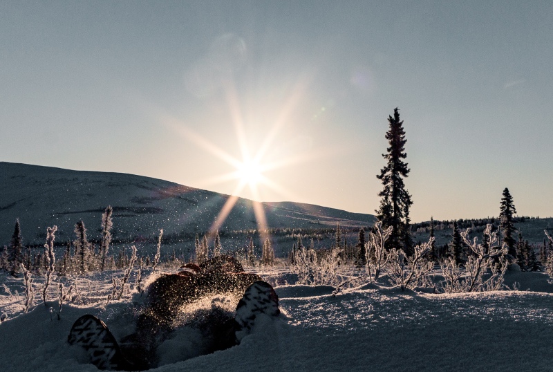 Reisebericht Alaska im Winter bei Schnee und Sonnenschein