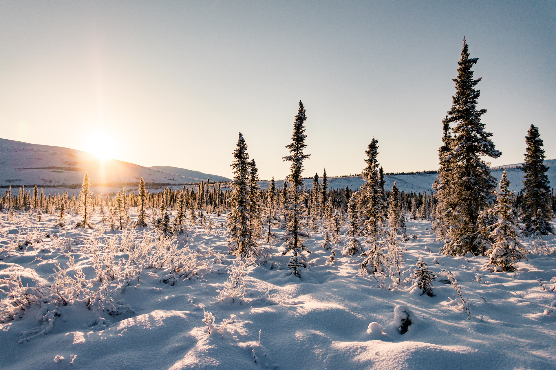 Ein Urlaub in Alaska im Winter