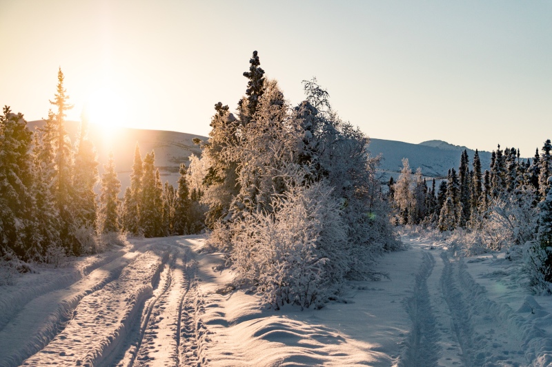 Landschaft von Alaska im Winter bei Sonne