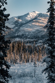 Berge in Alaska im Winter mit Schnee