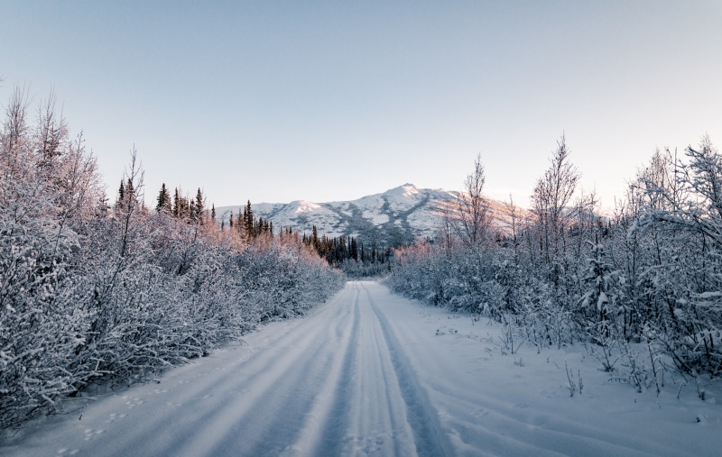 Aktivreise in Alaska im Winter