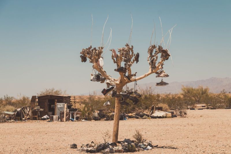 Schuhe hängen an einem Baum in der Wüste