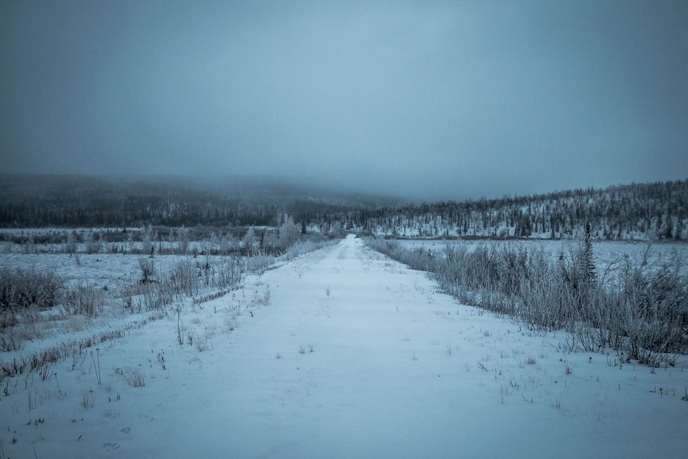 Alaska im Winter in der Natur