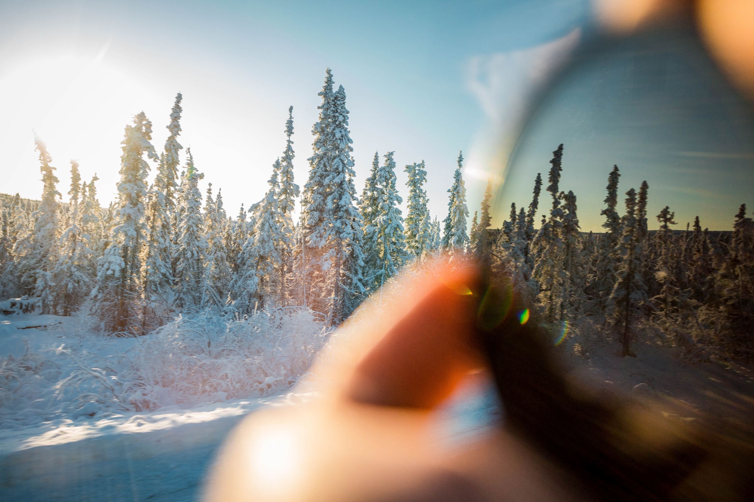 Alaska im Winter in der Natur und Freiheit